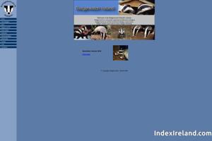 Visit Badger Watch Ireland website.