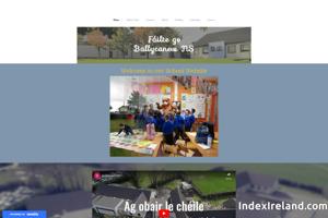 Visit Ballycanew National School website.