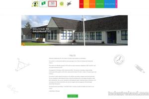 Visit Ballyraine NS website.