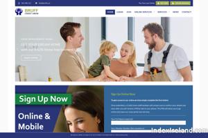 Visit Bruff Credit Union website.