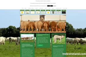 Visit Irish Charolais Cattle Society website.