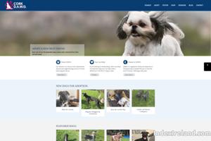 Visit Cork Dog Action Welfare Group website.