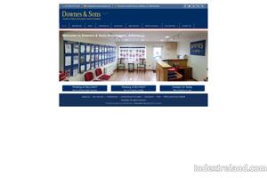 Visit Downes and Sons, Auctioneers website.