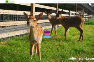 Visit Glendeer Farm website.
