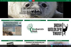 Visit Irish Wildlife Trust website.