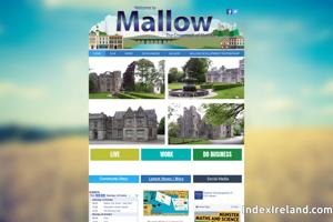 Mallow, the crossroads of Munster