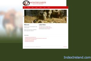 Montbeliarde Cattle Society