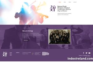 Visit NYOI National Youth Orchestra of Ireland website.