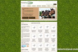 Visit ParadeRing.ie Horse Sales website.