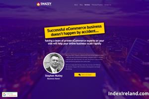 Visit Snazzy Websites website.