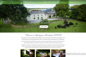 Springview House B&B