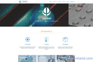 Trident Safety Group