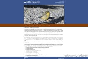 Visit Brian Keeley Wildlife Surveys website.