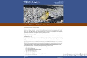 Brian Keeley Wildlife Surveys