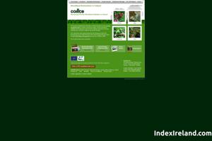 Visit Coillte Woodland Restoration website.